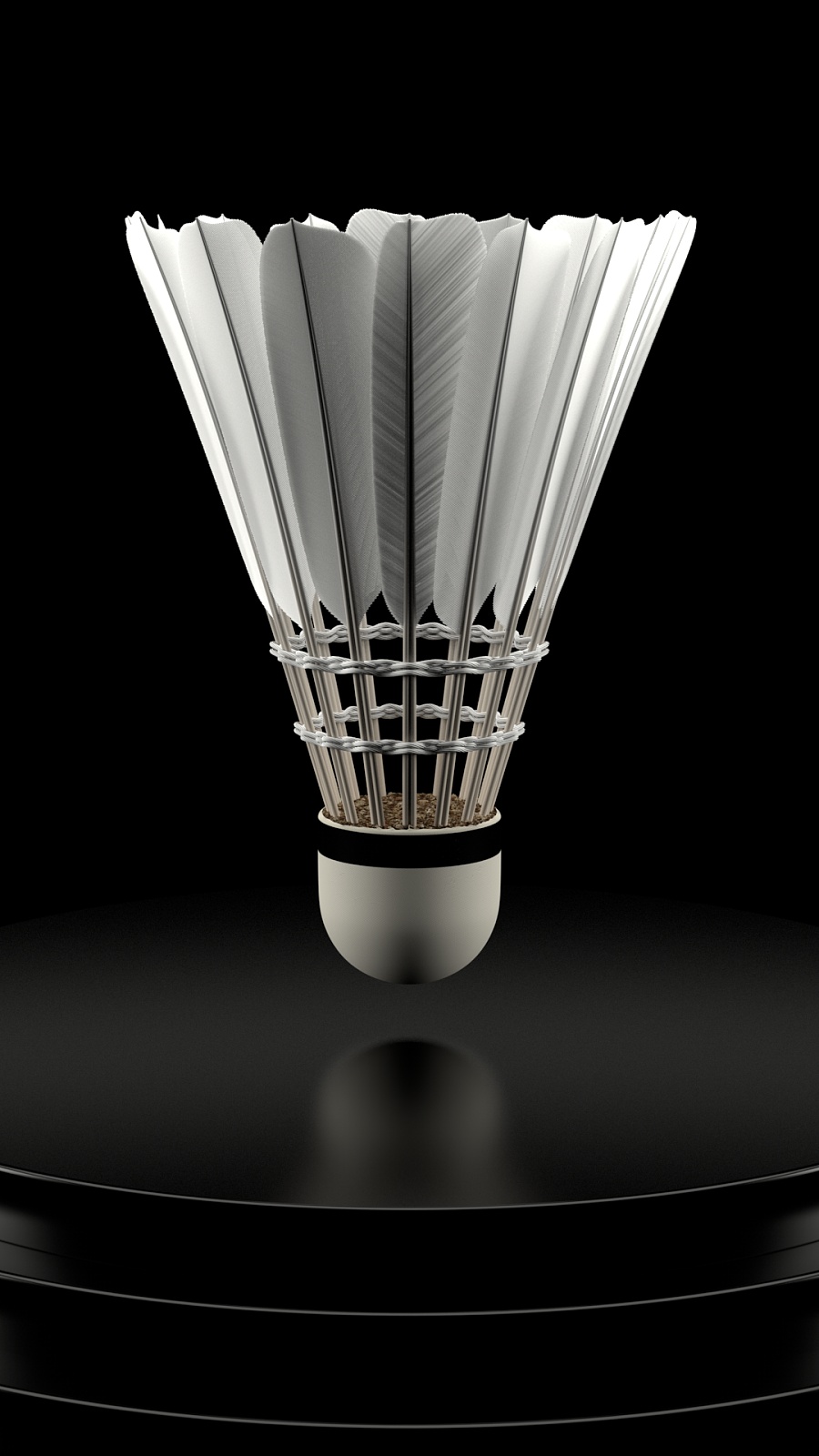 球队将围绕 球队将围绕